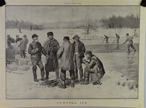 Image description is not available for DU1946.497